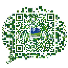 千想科技微信公众号